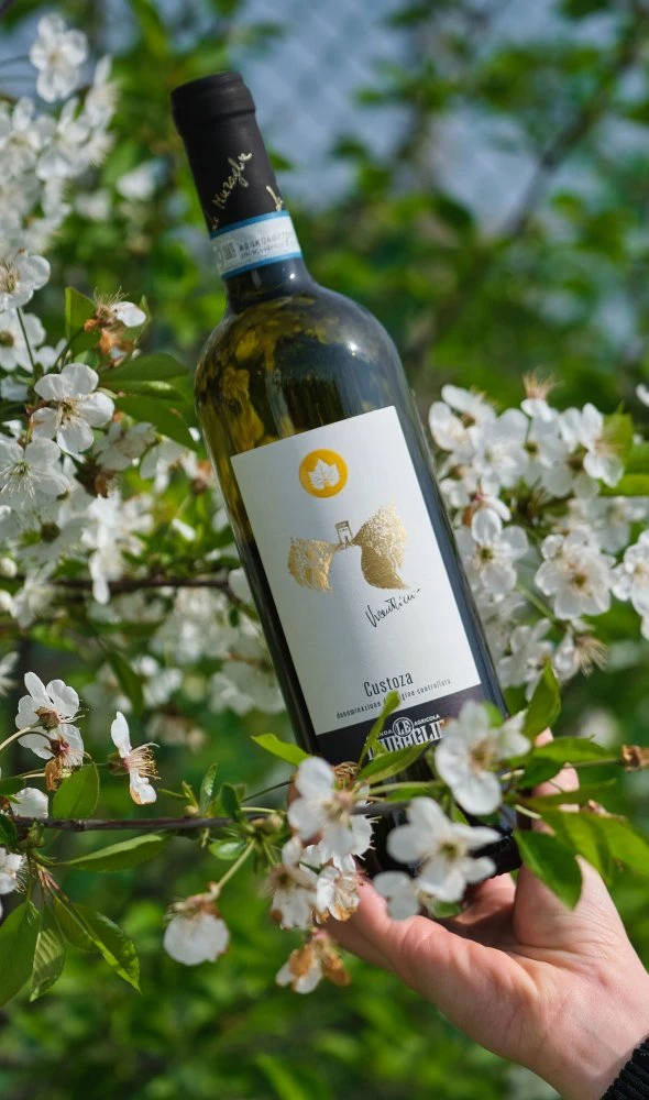 Custoza D.O.C. "Vicentini"