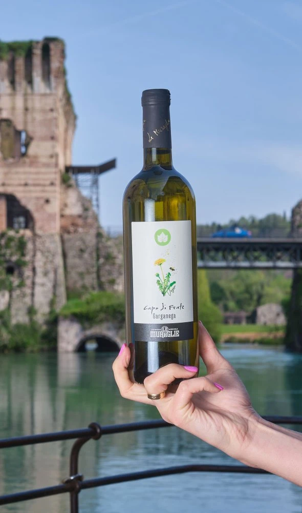 Garganega "Capo di Frate"