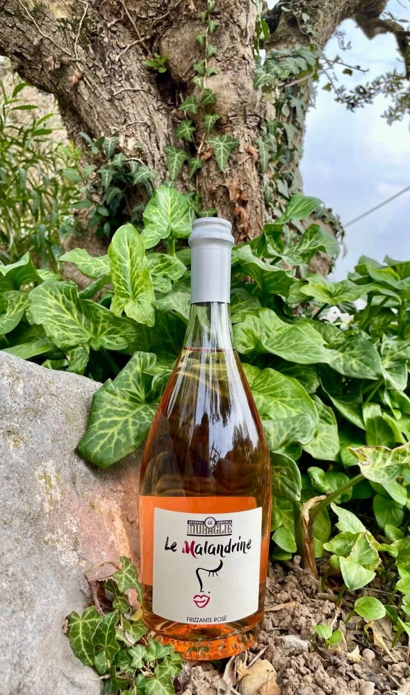 Frizzante Rosé "Le Malandrine"