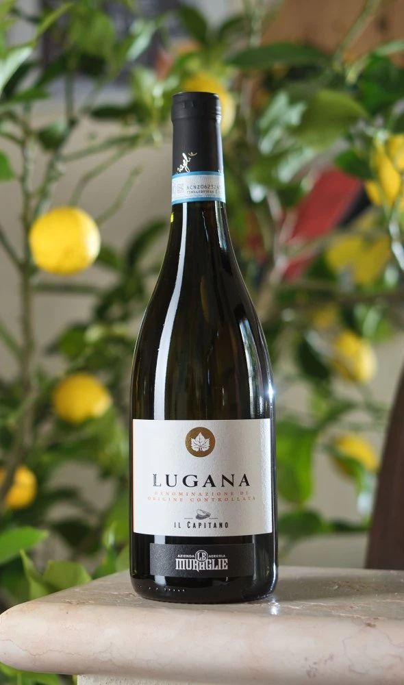 Lugana D.O.C. "Il Capitano"