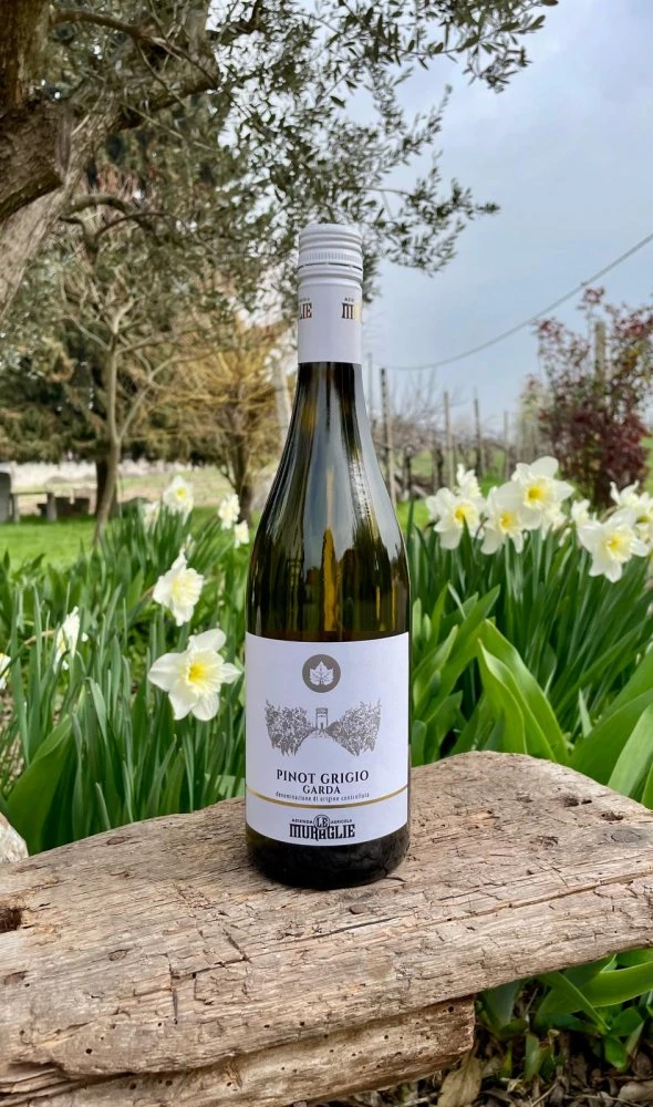 Pinot Grigio Garda D.O.C.