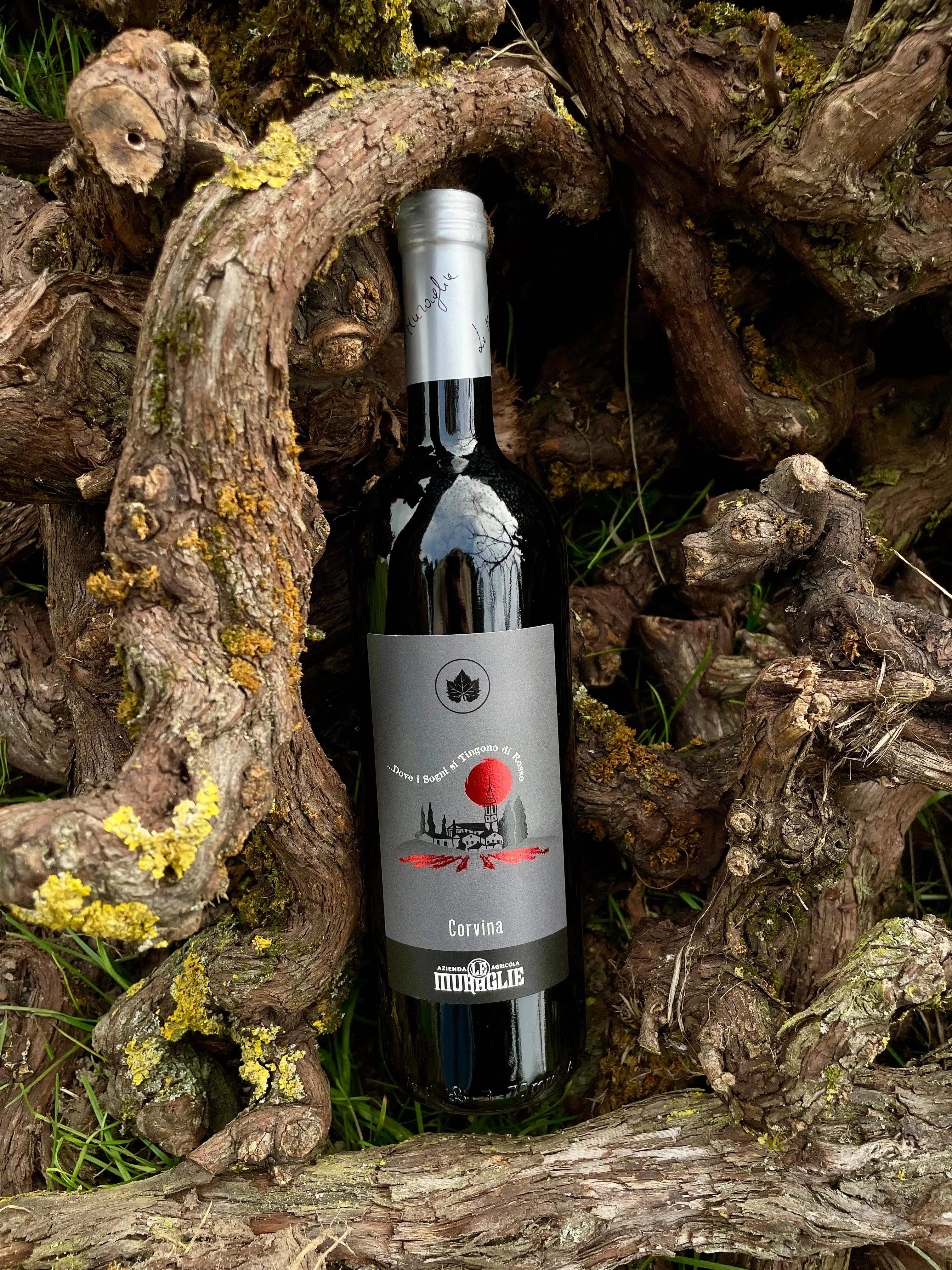 Le sfumature del Garda: Esperienza completa in 6 vini