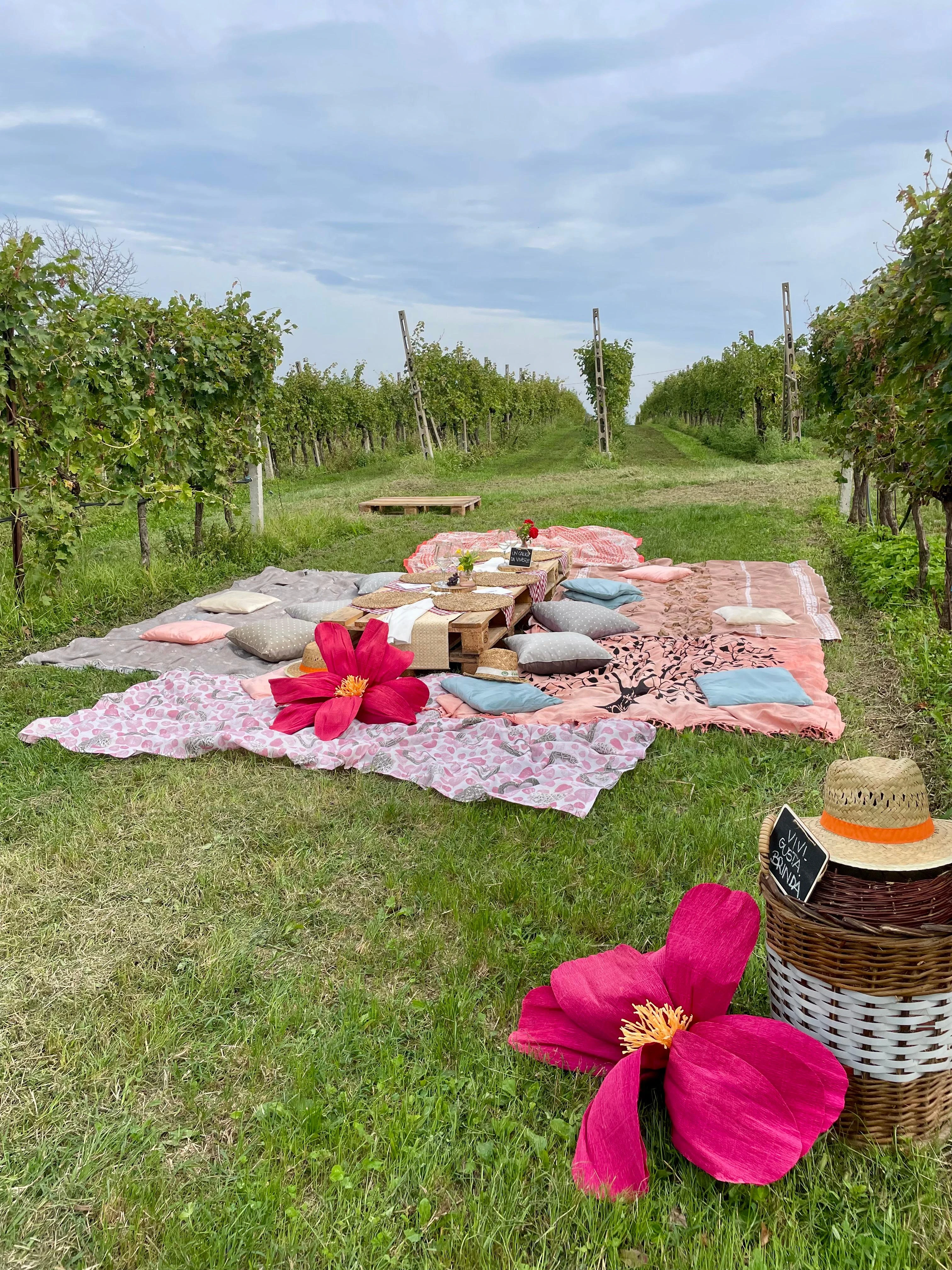 Picnic tra i vigneti del Garda