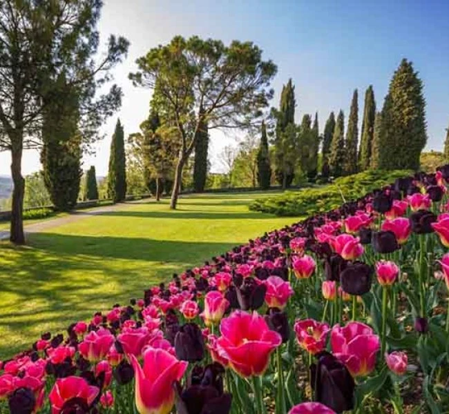 Parco Giardino Sigurtà